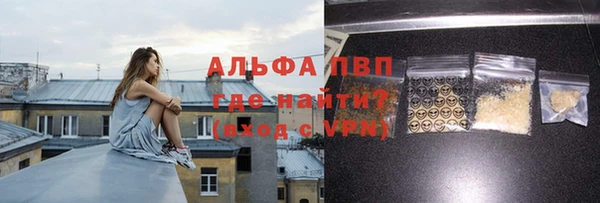 дживик Абаза