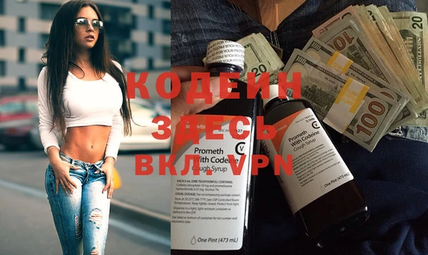 дживик Абаза